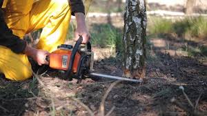 Lawn Drainage Solutions in Fabens, TX